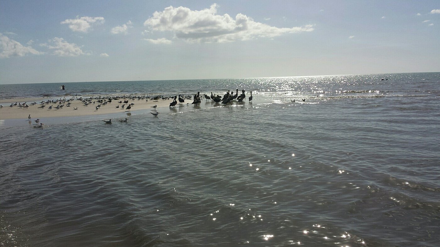 Barefoot Beach Preserve