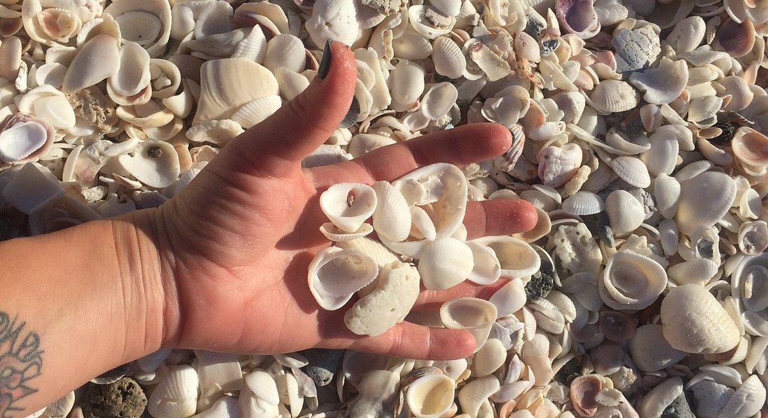 Bonita Springs Beach