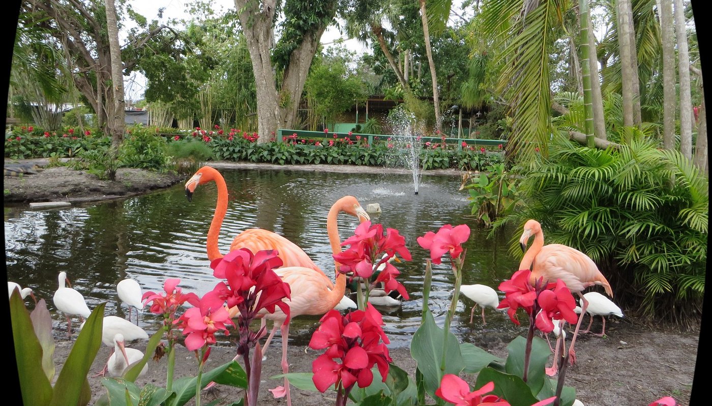 The Wonder Gardens